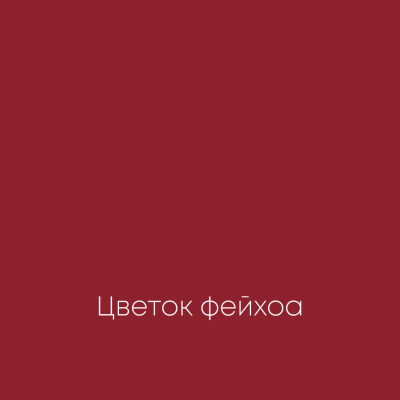 ЦВЕТОК ФЕЙХОА Elegant Eggshell